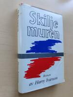 Skiljemuren : roman