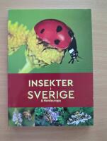Insekter i Sverige & Nordeuropa
