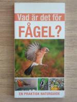 Vad &auml;r det f&ouml;r f&aring;gel?