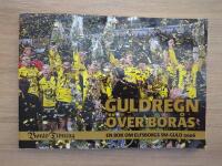 Guldregn &ouml;ver Bor&aring;s: En bok om Elfsborgs SM-GULD 2006