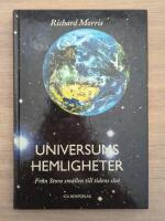 Universums hemligheter : fr&aring;n stora sm&auml;llen till tidens slut