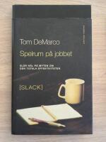 Spelrum p&aring; jobbet - Sl&aring;r h&aring;l p&aring; myten om den totala effektiviteten