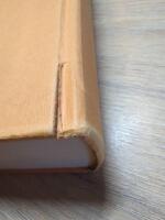 M&auml;rk v&auml;rlden : en bok om vetenskap och intuition