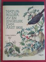 Naturbilder av en engelsk dam &Aring;ret 1905