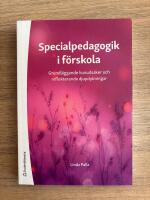 Specialpedagogik i f&ouml;rskola : grundl&auml;ggande huvudsaker och reflekterande djupdykningar