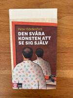Den sv&aring;ra konsten att se sig sj&auml;lv