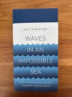 Waves in an impossible sea - how everyday life emerges from the cosmic ocean