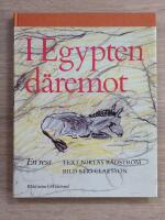 I Egypten däremot : en resa