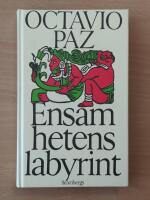 Ensamhetens labyrint