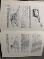 Popul&auml;r meteorologi