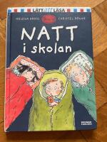 Natt i skolan