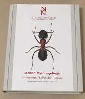 Steklar : myror - getingar. Hymenoptera : formicidae - vespidae