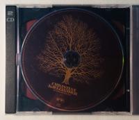 Introducing the past