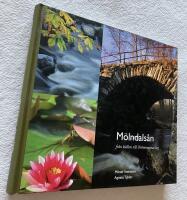 M&ouml;lndals&aring;n fr&aring;n k&auml;lla till dr&ouml;mmarnas kaj 