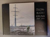 &Ouml;gonblick i Kiruna 2009-2010