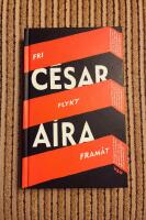 Fri flykt fram&aring;t : hur jag blev nunna, varamo, sp&ouml;ken