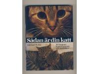 S&aring;dan &auml;r din katt - S&aring; fungerar kattens sinnen och instinkter