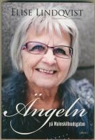 &Auml;ngeln p&aring; Malmskillnadsgatan