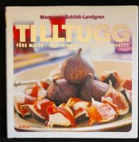 Tilltugg : f&ouml;re maten, till drinken, p&aring; cocktailpartyt