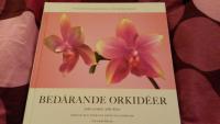 Bed&aring;rande orkid&eacute;er