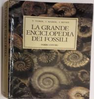 La Grande Enciclopedia Dei Fossili
