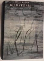 Bildstorm