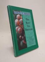 Din r&auml;tt till rikedom