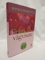 Fr&aring;ga dina v&auml;gvisare