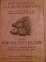 Ungarns Viehzucht. Schweinezucht