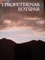 I profeternas fotsp&aring;r