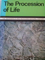The Procession of Life
