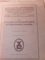 Ein Lebensbild von Pteranodon ingens auf flugtechnischer Grundlage. Ur Nova Acta Leopoldina Band 12 Nummer 83