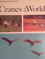 Cranes of the World