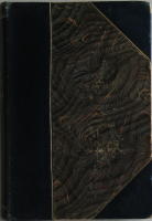  Isbj&oslash;rnen. Et Portr&aelig;t. (Smaa romaner III)  