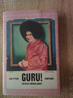 Guru! : en resa i underlandet