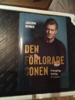 Den f&ouml;rlorade sonen : framg&aring;ng, bakslag & bokslut