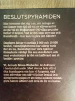 Beslutspyramiden : stegen till klokare beslut