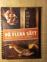 P&aring; flera s&auml;tt : multipla intelligenser i praktiken