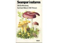 Svampar i naturen