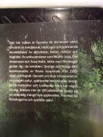 M&ouml;te med finnskogar : skogsfinska bes&ouml;ksm&aring;l i mellersta Skandinavien