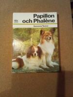 Papillon och phal&egrave;ne