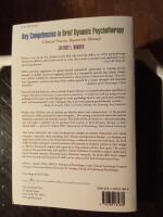 Key competencies in brief dynamic psychotherapy : clinical practice beyond the manual