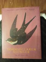 Tornseglaren sjunger : Om att finnas till