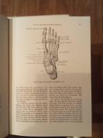 L&auml;robok i anatomi Del 1 R&ouml;relseapparaten