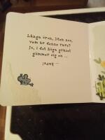 Tittut! Vem g&ouml;mmer sig d&auml;r?