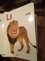 My first ABC board book 