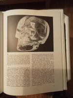 Designing for needlepoint....Sources 