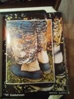 En resa....Bengt Lindstr&ouml;m 