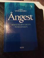 &Aring;ngest : ber&auml;ttelsen om en psykoanalys