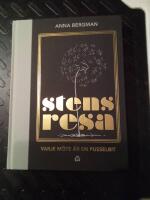 Stens resa : varje m&ouml;te &auml;r en pusselbit